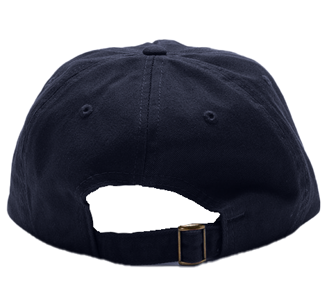 Gekishiba Stay Wild message CAP